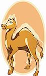 Illustration of a camel
