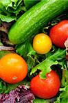Assorted fresh vegetables - tomatoes, cucumber, green lettuce