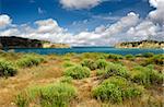 Beautiful blue bay with green bushes in the dunes