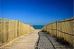 Wood path going to a wonderfoul beach