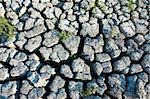 environment devastation background: cracked extremely dried ground
