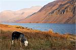 end of day at wast water in lake district