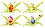 Easter eggs with ornament in grass with bee, element for design, vector illustration