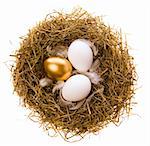 Three eggs, two white and one gold in a nest from the dried up grass on a white background