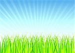 Fresh Spring Grass Vector illustration.