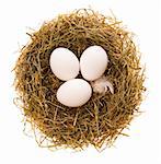 Three chicken white eggs in a small nest from a dry grass on a white background