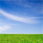 Green Field and Blue Sky