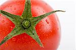 macro wet red fresh tomato on white
