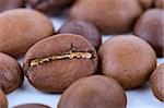 coffee beans macro on the white background