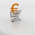 basket for ecommerce or online shopping