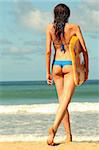 Bikini Girl with boogie board on the beach