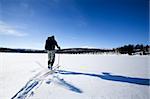 A cross country skiier skiing off trail back country;