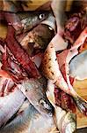 A detail image of fish freshly filleted