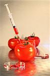 Close-up of syringe in tomato for genetic research