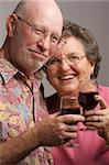 Happy Senior Couple toasting with Wine glasses.