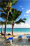 Sandy beach of tropical resort with palm trees and reclining chairs