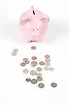 Pink Piggy Bank on isoalted on white background