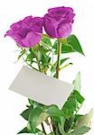 purple roses with blank love note