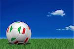 Italian soccer ball laying on the grass