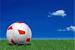 Polish soccer ball laying on the grass