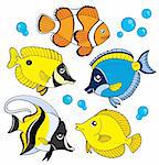 Coral fish collection - vector illustration.