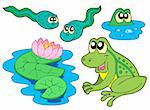 Frog collection on white background - vector illustration.