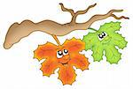 Pair of autumn leaves on branch - color illustration.