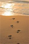 Footprints on beach sand leading to water