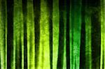 Green Abstract Texture Background in Soft Waves Patterns