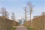 Alley in park of Pushkin, famous town in Russia