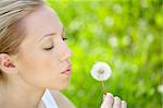 The girl blows on a dandelion on a background of a grass