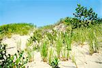 Sand dunes and blue sky