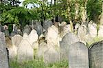 old jewish burial place in the czech repulic