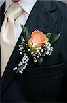 nice orange rose from the wedding clothes