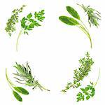 Lavender, sage, parsley and thyme in a circular frame design over white background.