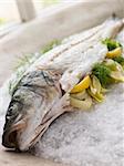 Whole Seabass Roasted in a Sea Salt Crust with Fennel