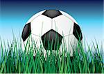 Soccer ball on grass. Vector illustration. Close-up.