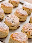 Tray of Fruit Scones