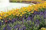 lavender and rudbeckia hirta flowers besides a water fountain