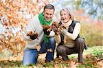 Senior couple collecting autumn leaves together