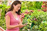 Woman shopping in produce section of supermarket