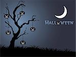 scary halloween night in moonlight