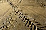 Tractor and car tracks in the sand at dusk.