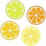 Vector illustration of Slices of citrus fruits: Orange, red grapefruit, lemon and lime. Great for making patterns