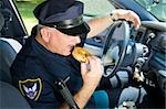 Police officer in his squad car, taking a bit from a donut.