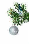 Fir tree branch with silver ball on a white background.