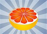 Sliced half pink grapefruit fresh fruit illustration fresh