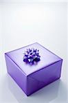 Present Wrapped In Purple Paper