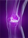 3d rendered x-ray illustration of a human skeletal knee