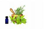 Fresh herb selection of rosemary and bay leaves with an olive wood pestle and mortar and aromatherapy essential blue glass oil bottle. Set against a white background.